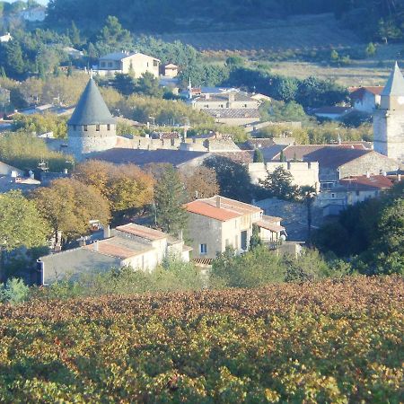 Gite Le Musee Villeneuve-Minervois Екстер'єр фото